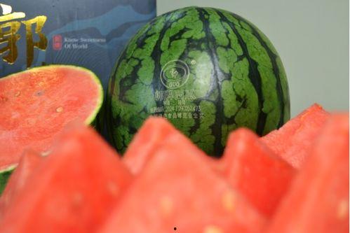 西瓜条八卦爆料怎么做视频,揭秘视频制作背后的秘密 第3张 西瓜条八卦爆料怎么做视频,揭秘视频制作背后的秘密 第3张