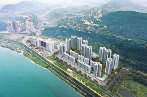 苍溪最新爆料,揭秘事件背后惊人真相