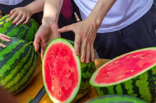 高校吃瓜网站免费入口  第3张